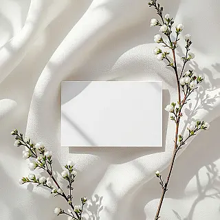 Visitekaartje, minimalistisch, minimalistische printdesign esthetiek, witte achtergrond achtergrond, zacht studio verlichting, centrale compositie lay-out, schone typografie, negatieve ruimte, professionele presentatie, subtiele schaduwen, premium printkwaliteit