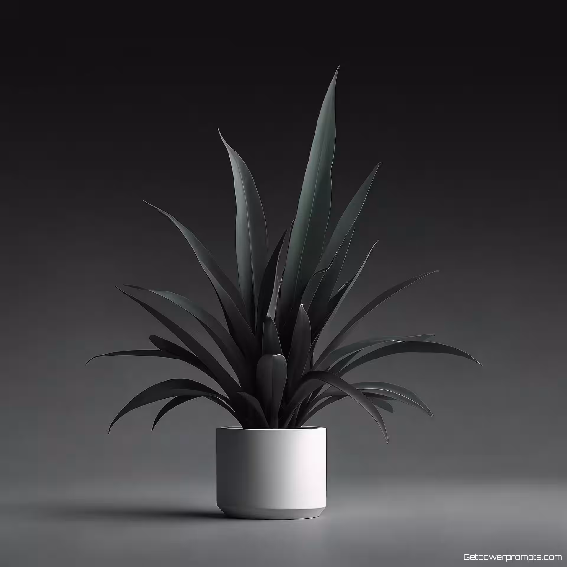 Minimalistische plantillustratie, minimalistische illustratie, professioneel sfeer, gradiënt achtergrond, natuurlijk licht verlichting, typografie-integratie, schone typografische elementen, negatieve ruimte, moderne website hero-afbeelding, minimalistische esthetiek, levendige kleuren, professioneel ontwerp