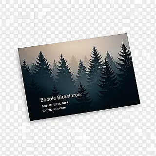 Elegant zakelijk visitekaartje, dubbele belichting fotografie, bos silhouet overlay, schone studio achtergrond achtergrond, zachte omgevingsverlichting verlichting, professionele sfeer sfeer, transparante lagen, artistieke fusie, professionele zakelijke esthetiek, creatieve compositie, samengevoegde beelden